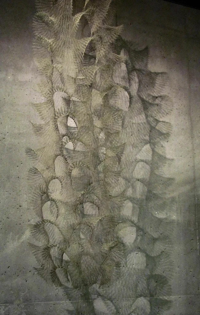 Shared_Ruth Asawa_9.jpeg