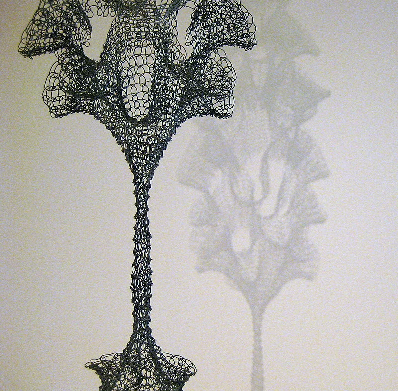 Shared_Ruth Asawa_7.jpeg