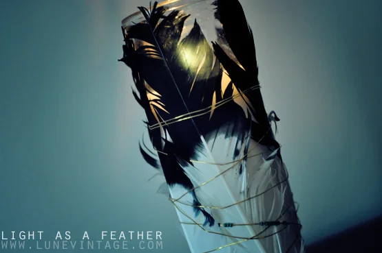 light+as+a+feather+diy.jpg
