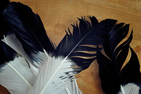 feather+candle+holder+diy+2.jpg