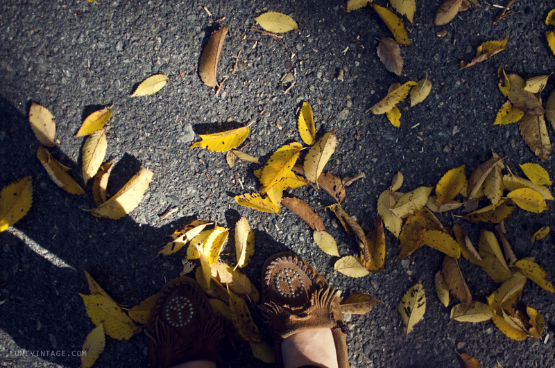 lune+vintage+fall+canada+family+-3.png