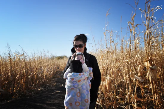 corn+maze+2011+-+5.jpg