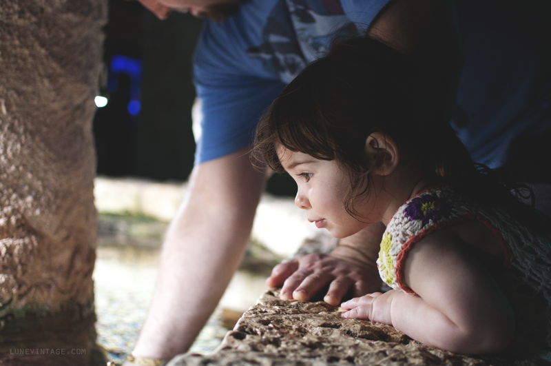 xcaret+park+aquarium+eve.png