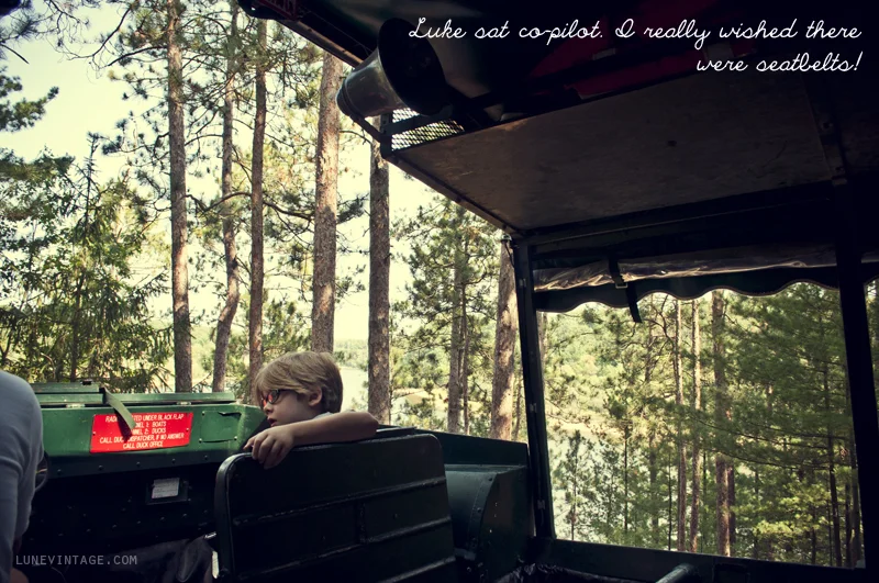 wisconsin+dells+lune+ducks.jpg