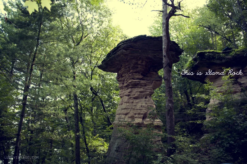 wisconsin+stand+rock+lune.jpg