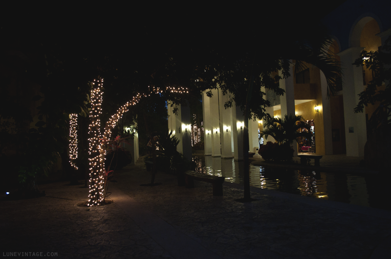 occidental+grand+Xcaret+playa+del+carmen+mexico+lune+travel+blog+-+26.png