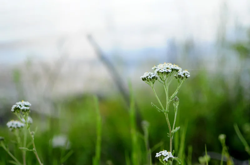 camping+Early+June+2012+-+9.jpg