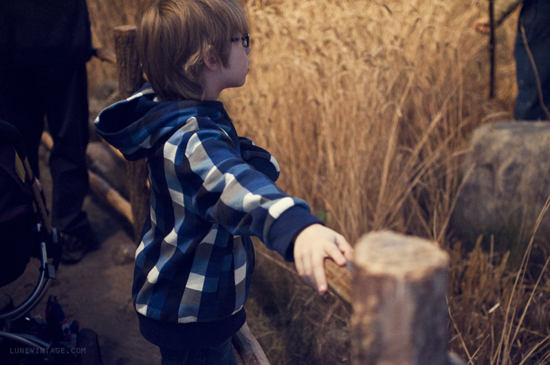 kids+manitoba+museum+lune+vintage+-+7.png