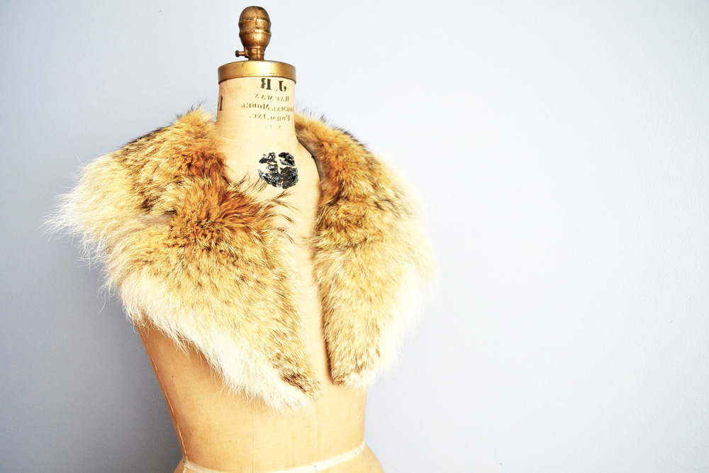 furcollar2.jpg