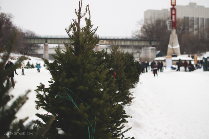 skating+on+the+river+2013+lune+vintage+-+5.png