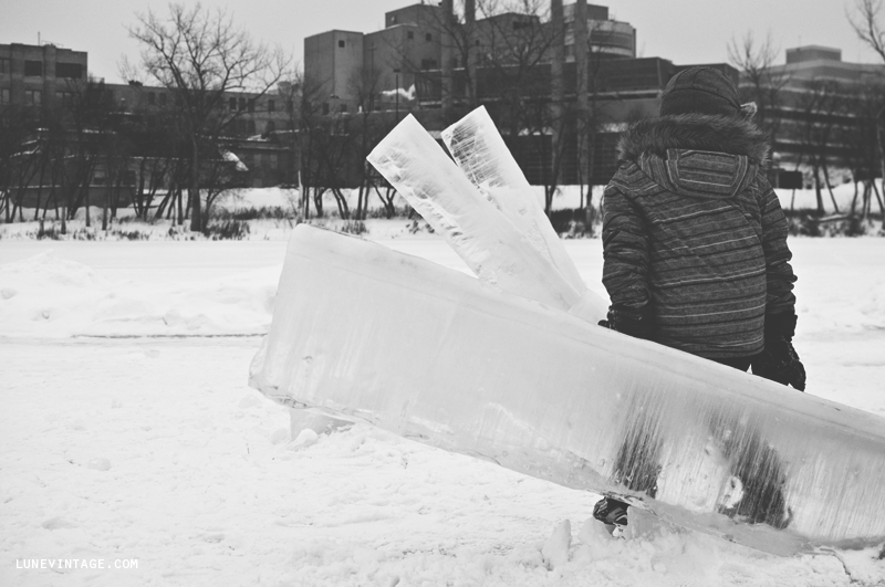 skating+on+the+river+2013+lune+vintage+-+1.png
