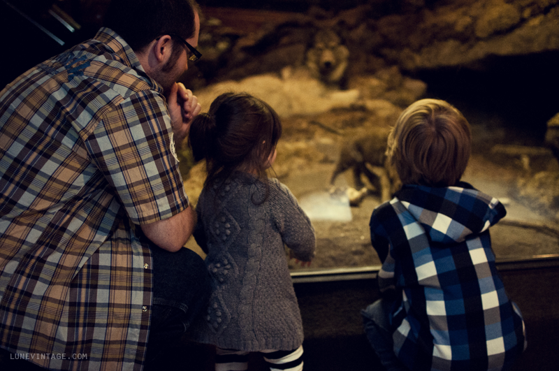 manitoba+museum+lune+vintage+-+1.png