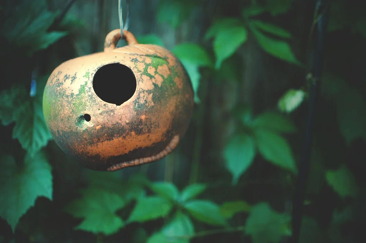 lune bird house (1200x797).jpg