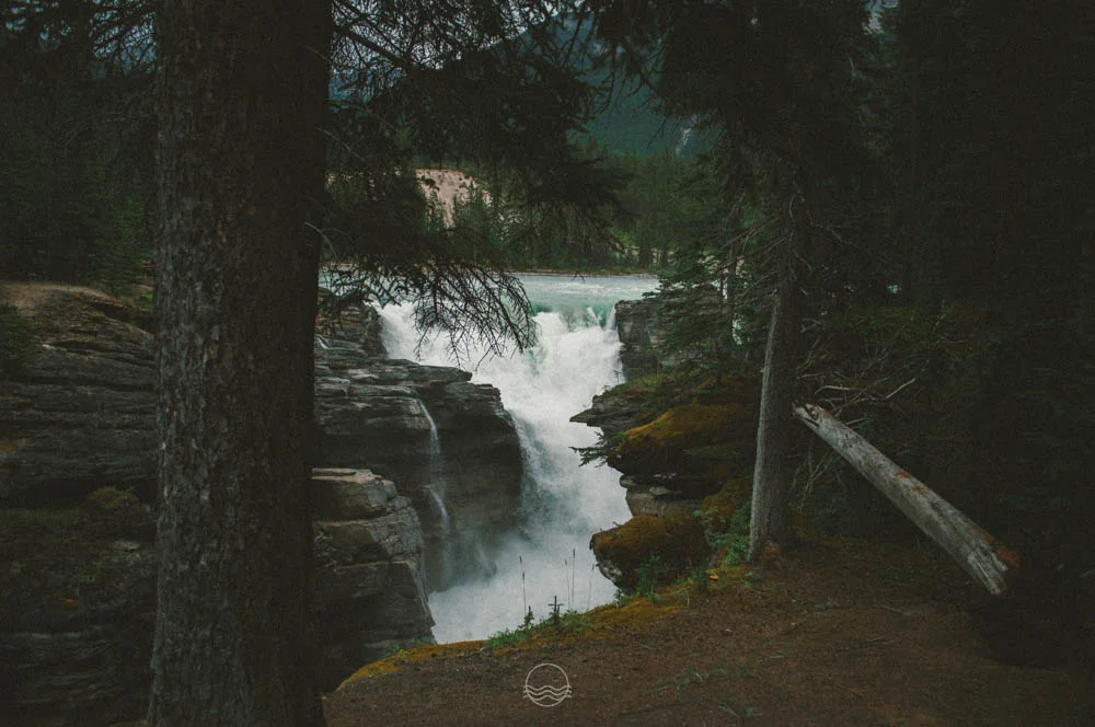 athabasca falls canada lune blog-14.jpg