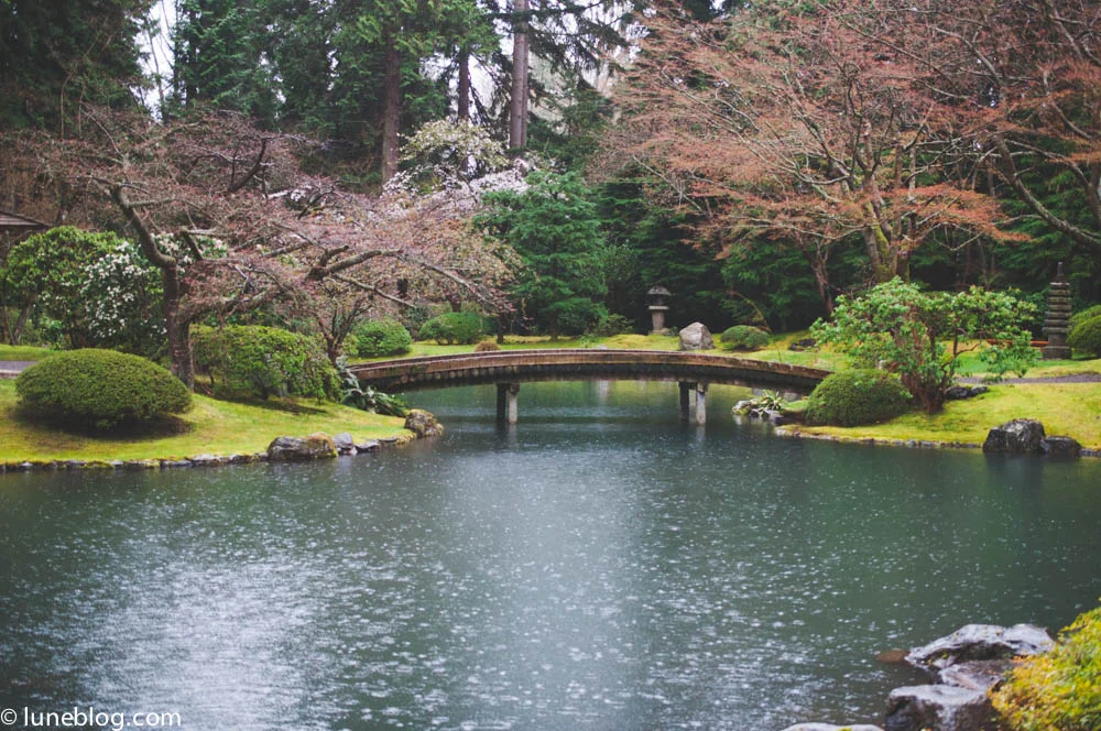 nitobe japanese garden vancouver ubc lune blog (1 of 18).jpg