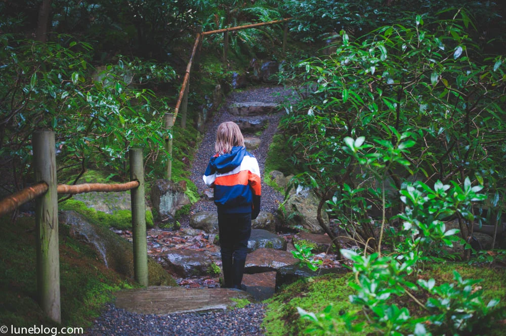 nitobe japanese garden vancouver ubc lune blog (5 of 18).jpg