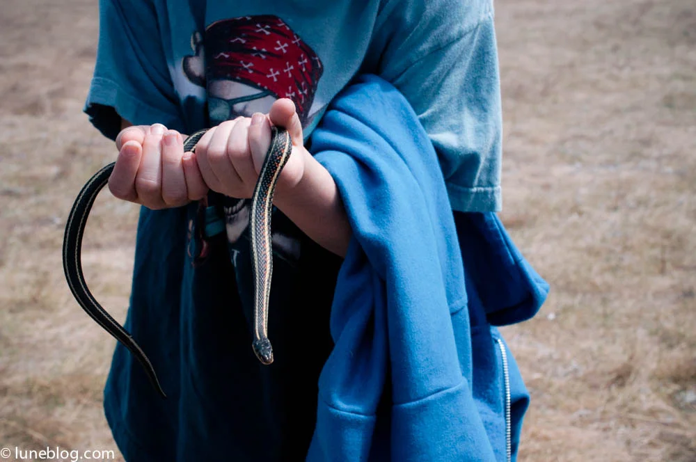 lune blog snake pits this week (10 of 17).jpg
