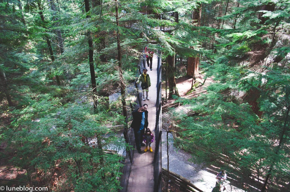 capilano suspension bridge vancouver lune blog (18 of 39).jpg