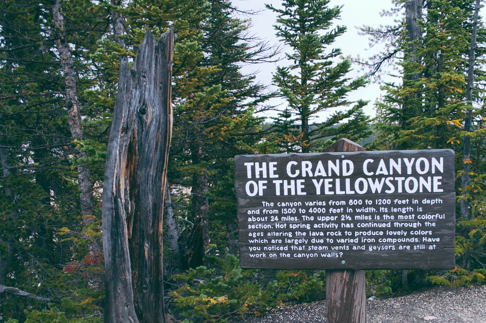 montana lune idyll guide blog yellowstone (40 of 121).jpg