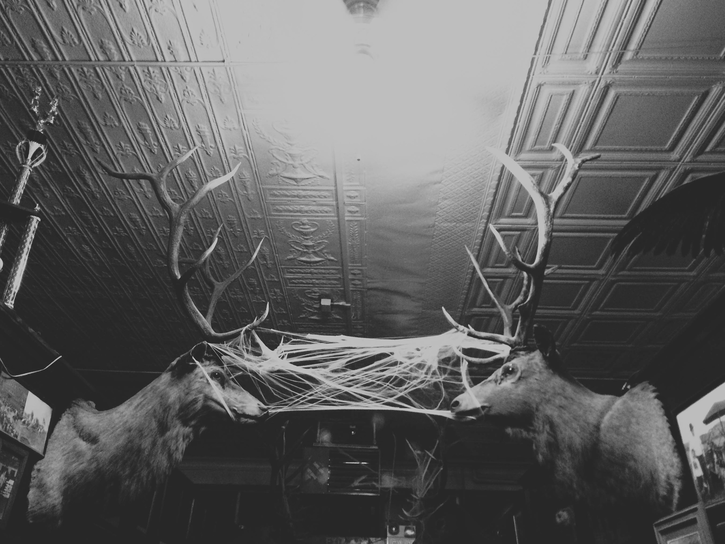 montana return (12 of 13).jpg