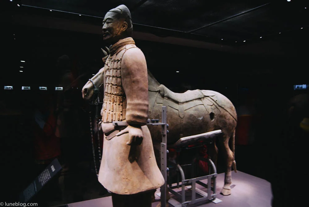A point of interest - the hole in the terra cotta horse was intentional as it let the gases and pressure escape while in the kilns. Otherwise the figure would explode during firing!