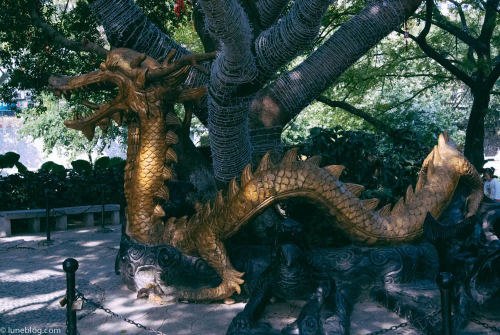 Gui Lin's Elephant Park dragon.