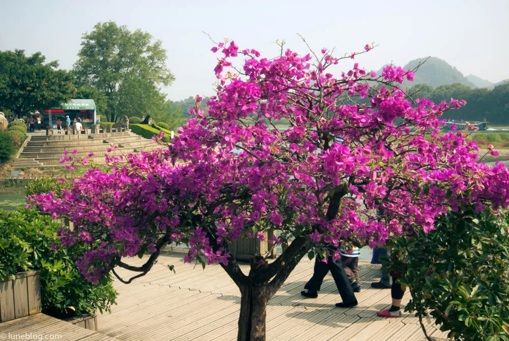 A fitting near to last photo in Gui Lin.