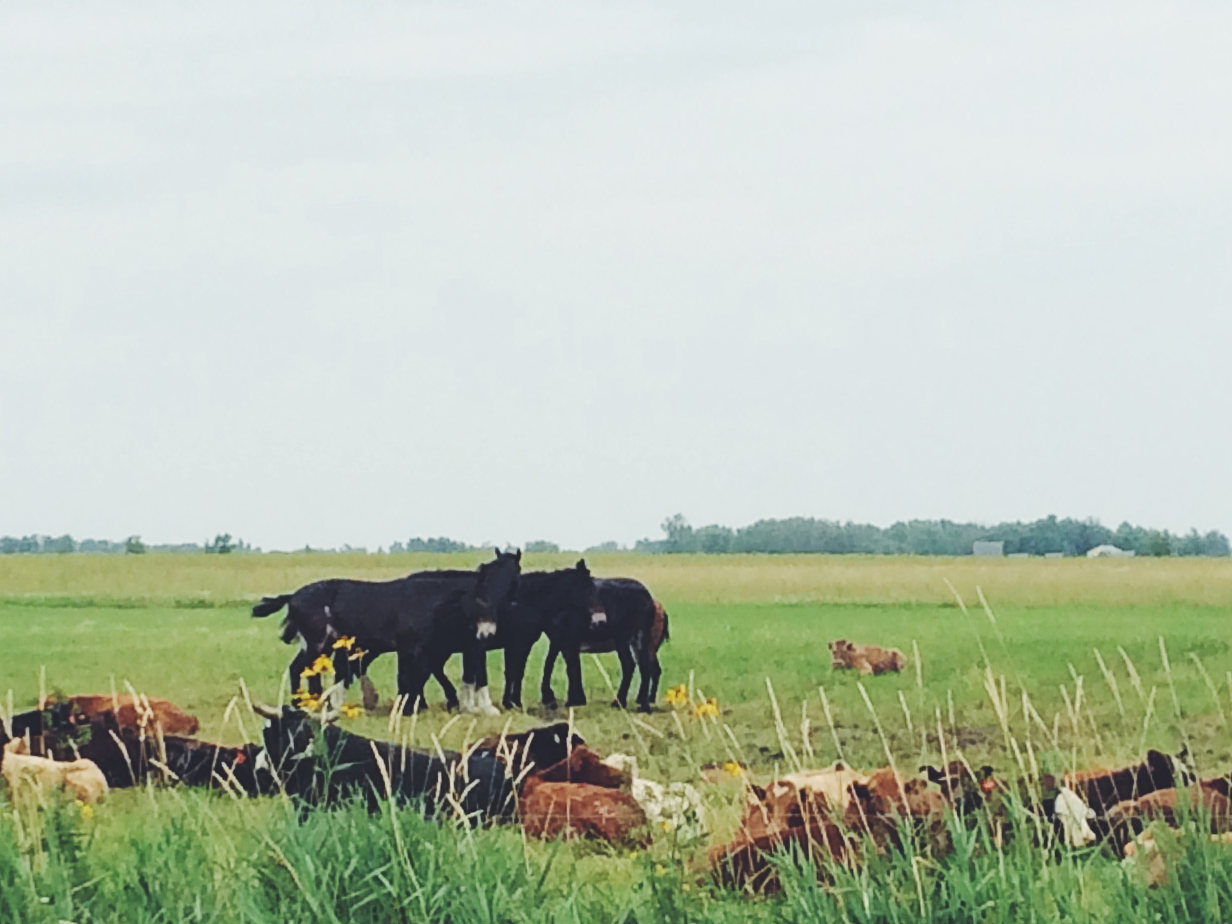 vscocam-photo-4-2.jpg