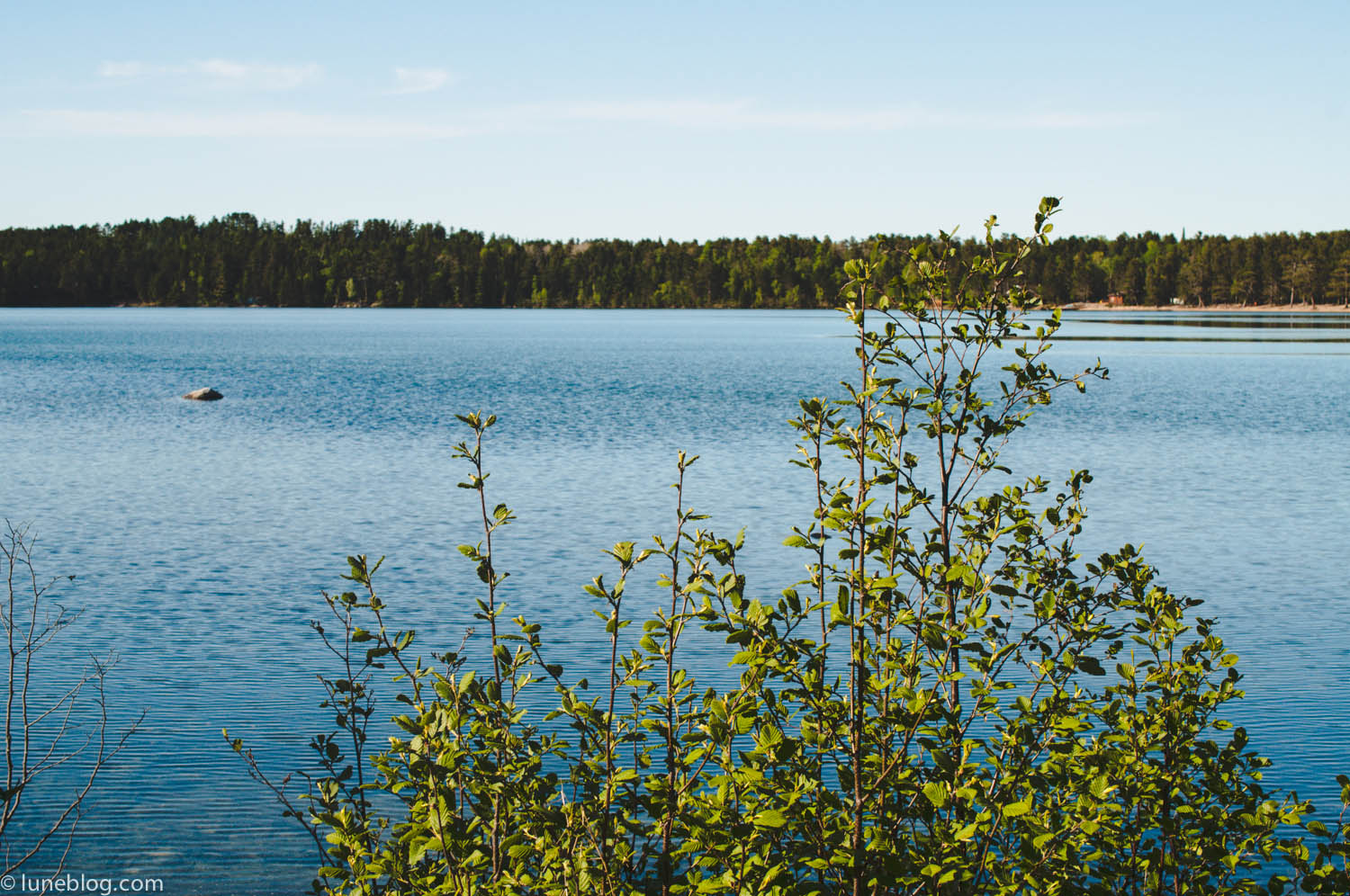 blue lake ontario camping lune travel blog (16 of 74).jpg