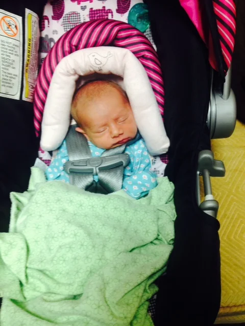 Liliana Vega March 2014.jpg