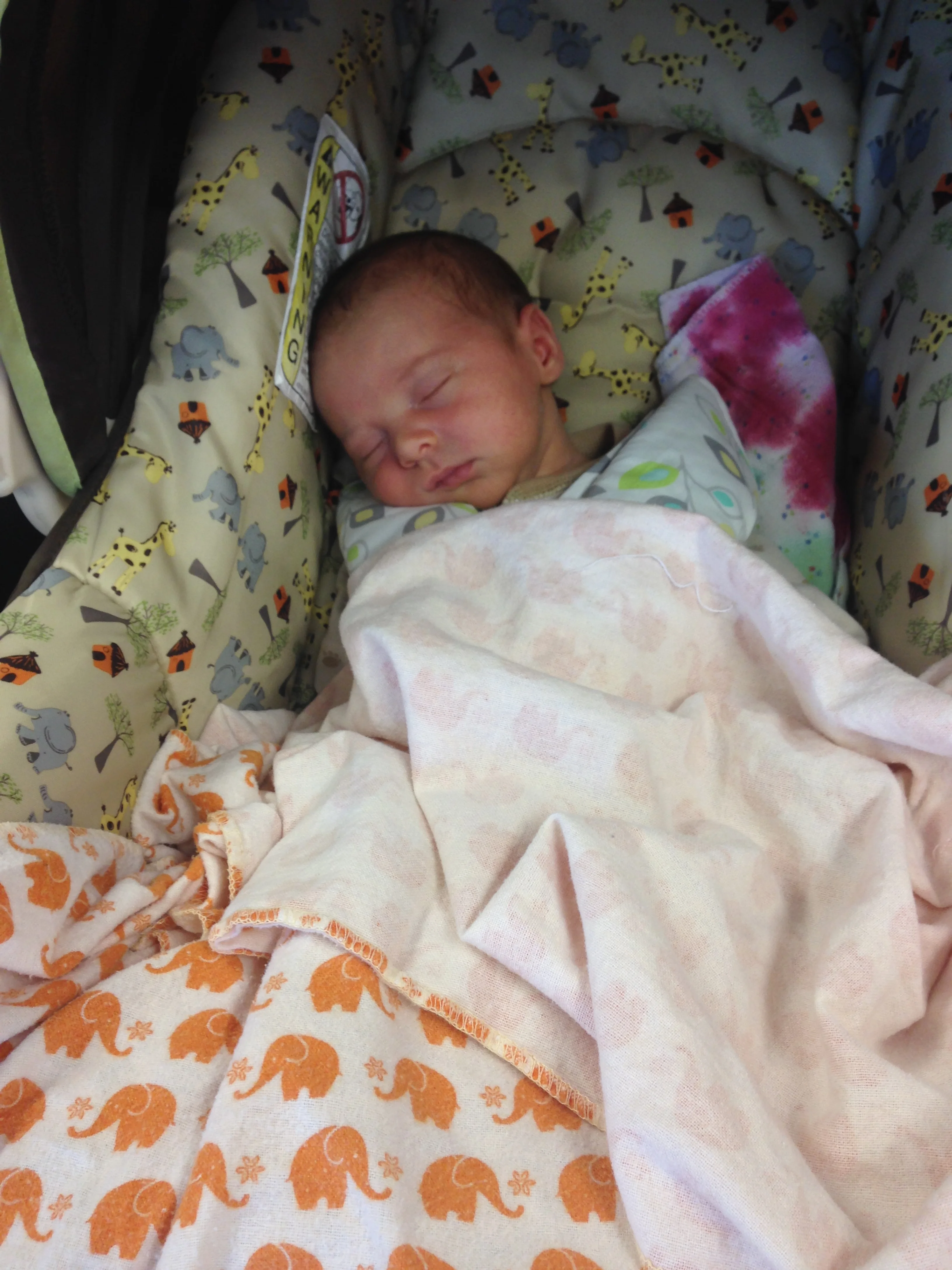 Tiffany Hoagland and Baby Jake.jpg