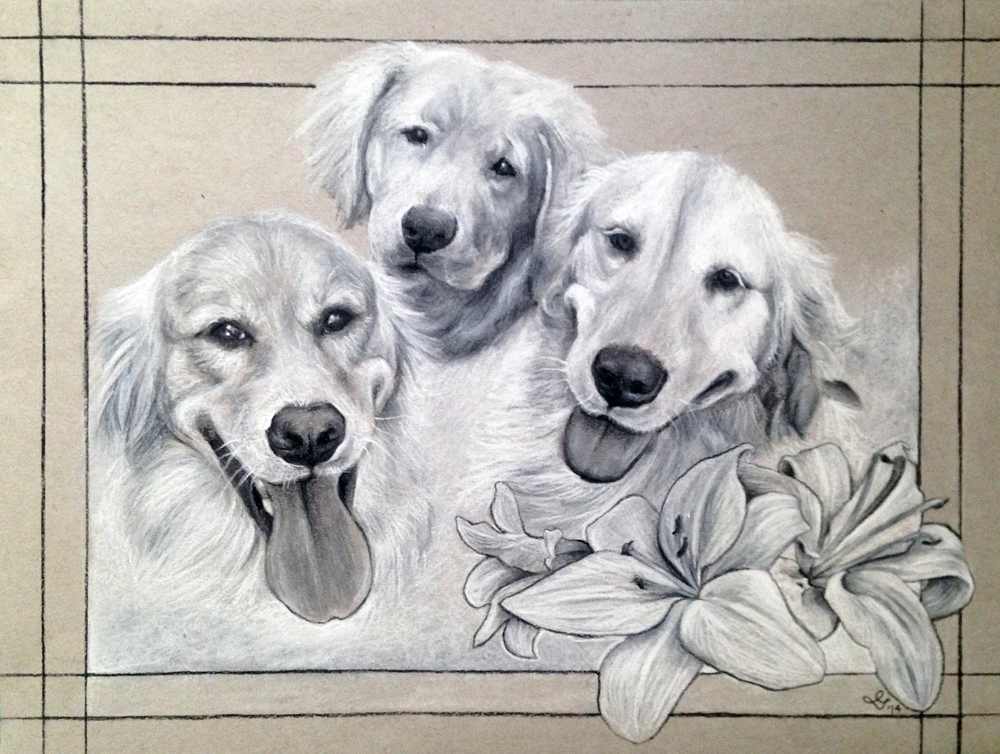 Louseal, Layla, Beau