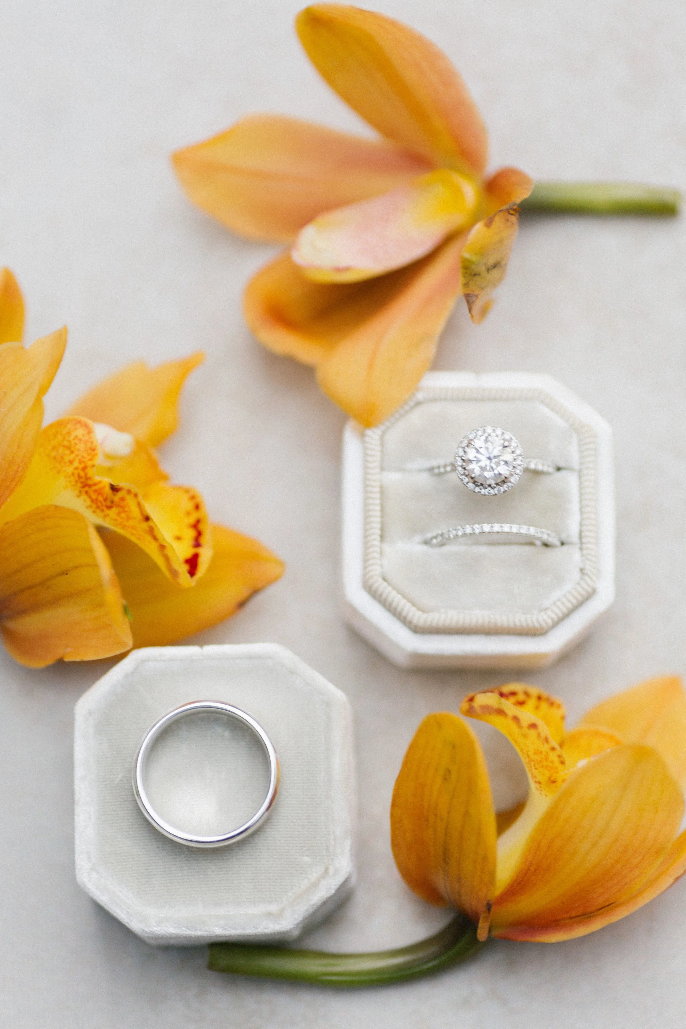 Photography by Kristina Lorraine 