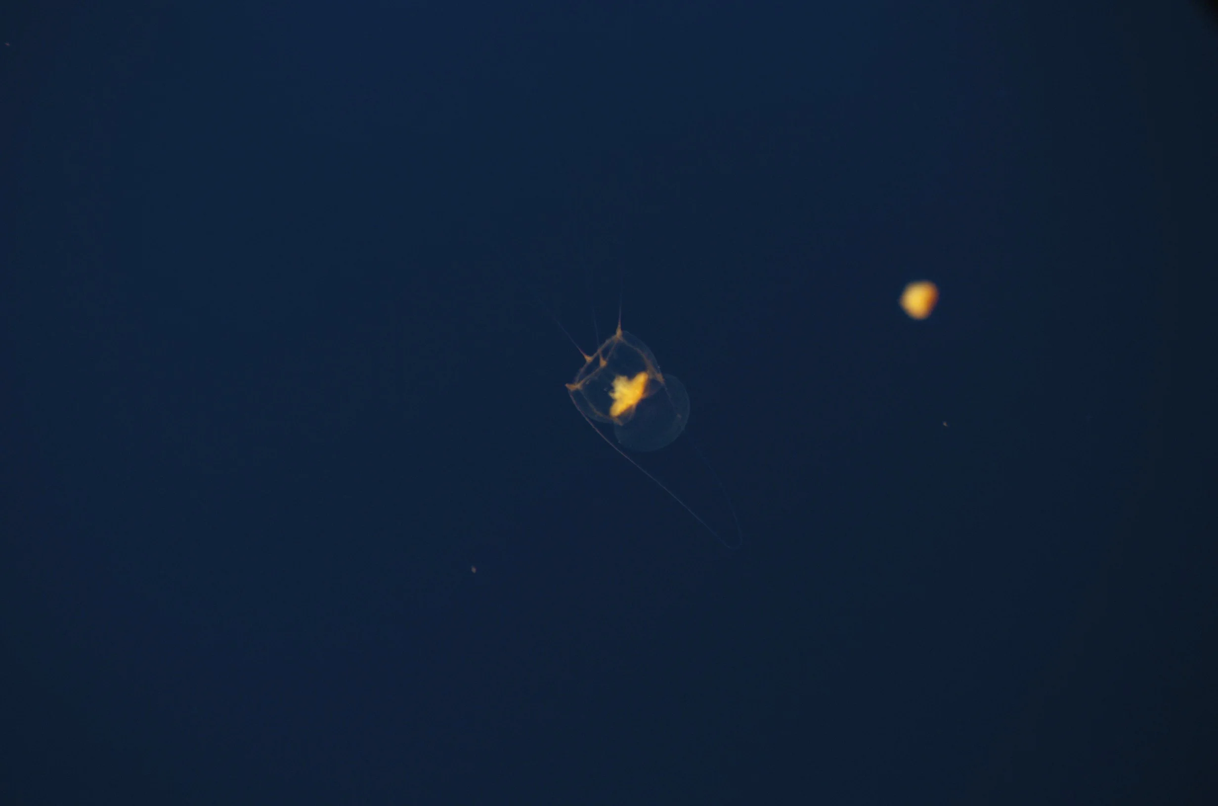 _9SC5586.jpg