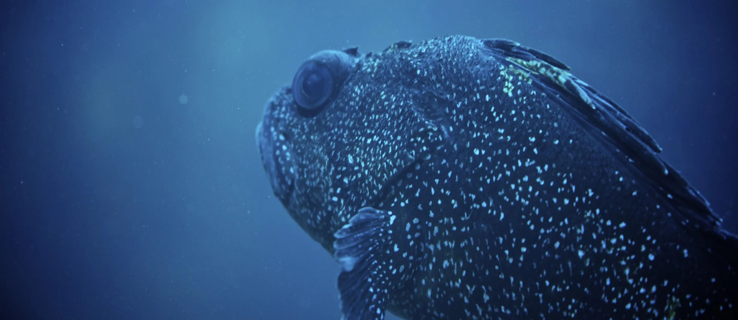 _9SC5632 - Version 2.jpg