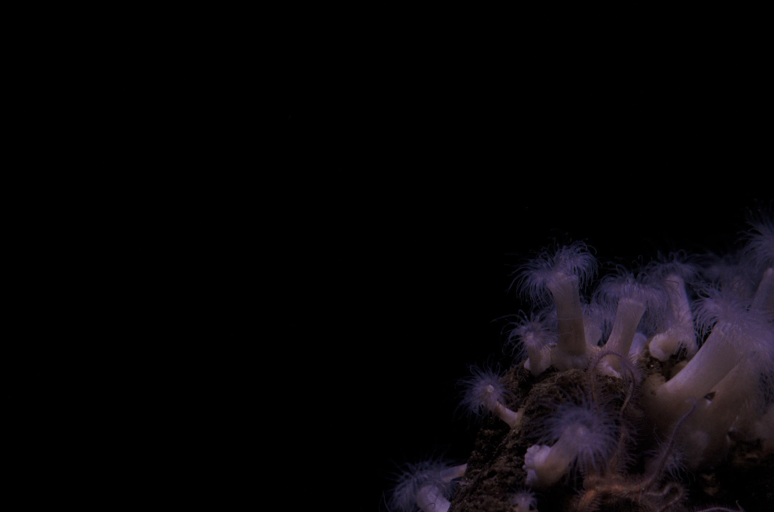 _9SC5803.jpg
