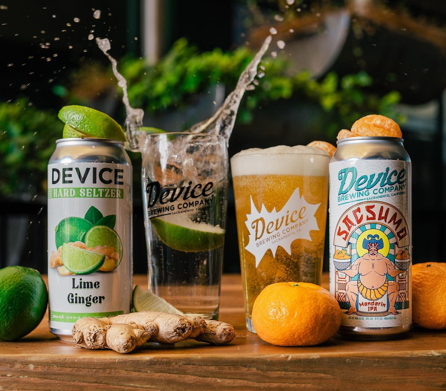 We're excited to announce the return of not just one, but two refreshing additions to our lineup: Sacsumo Mandarin IPA and the zesty Lime Ginger Hard Seltzer!
&nbsp;
𝗦𝗔𝗖𝗦𝗨𝗠𝗢 𝗠𝗔𝗡𝗗𝗔𝗥𝗜𝗡 𝗜𝗣𝗔 🍊 𝟲.𝟯% 𝗔𝗕𝗩 🍊 𝟮𝟴 𝗜𝗕𝗨
&nbsp;
Prepar