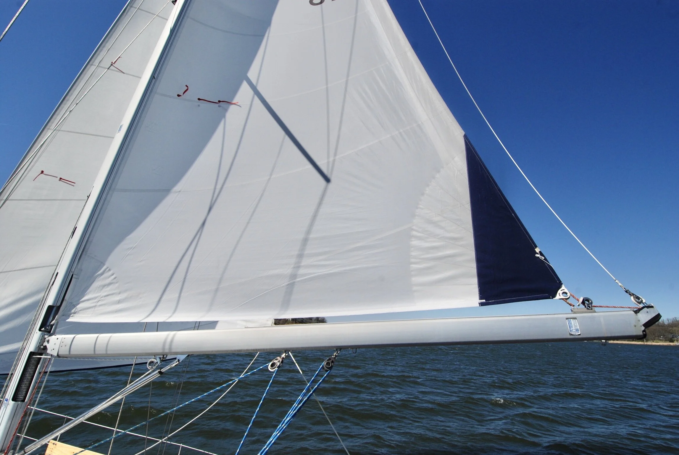 2AE04708-22D3-4434-B393-9037B334871F_1_201_a.jpeg