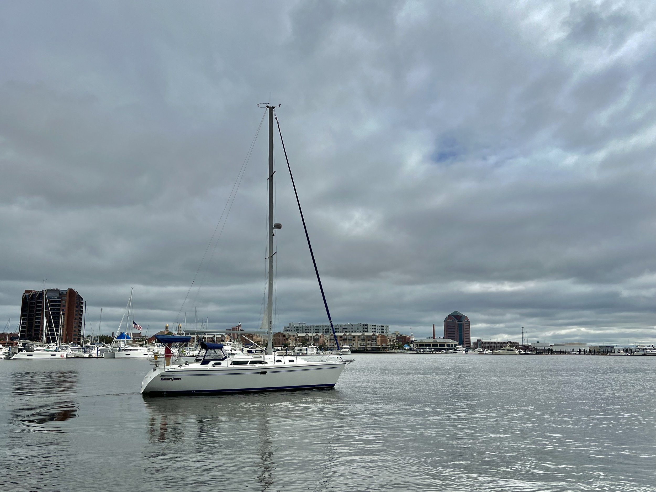 7B281A0D-2FF4-4119-AAFF-ADE912BCB09D_1_201_a.jpeg