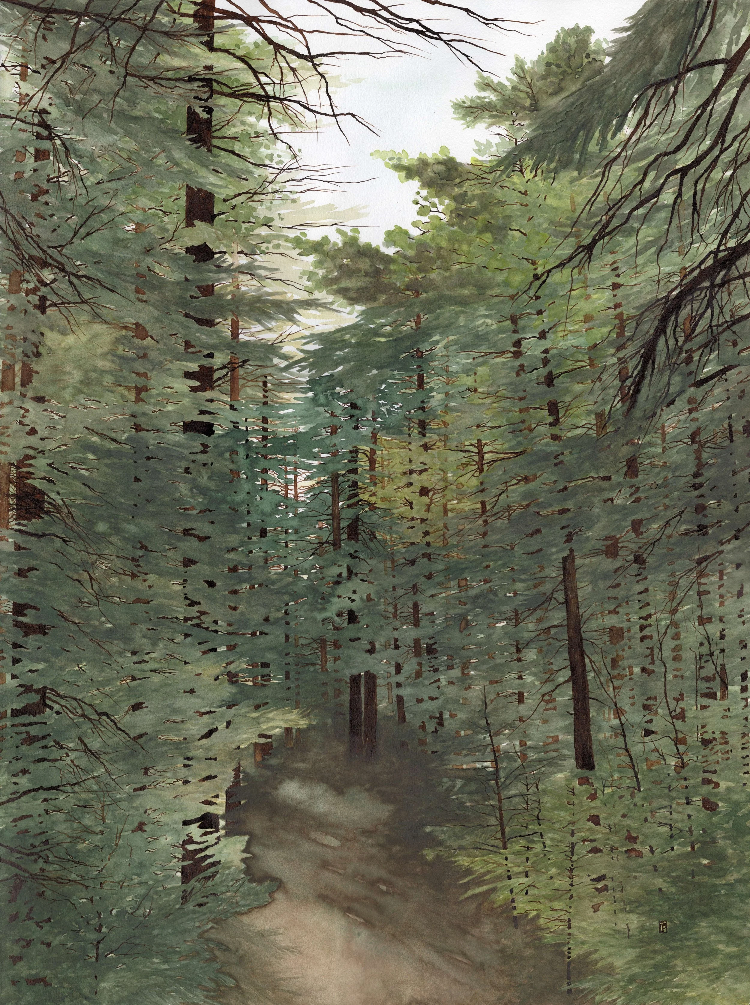 TheGuidedPath.jpg