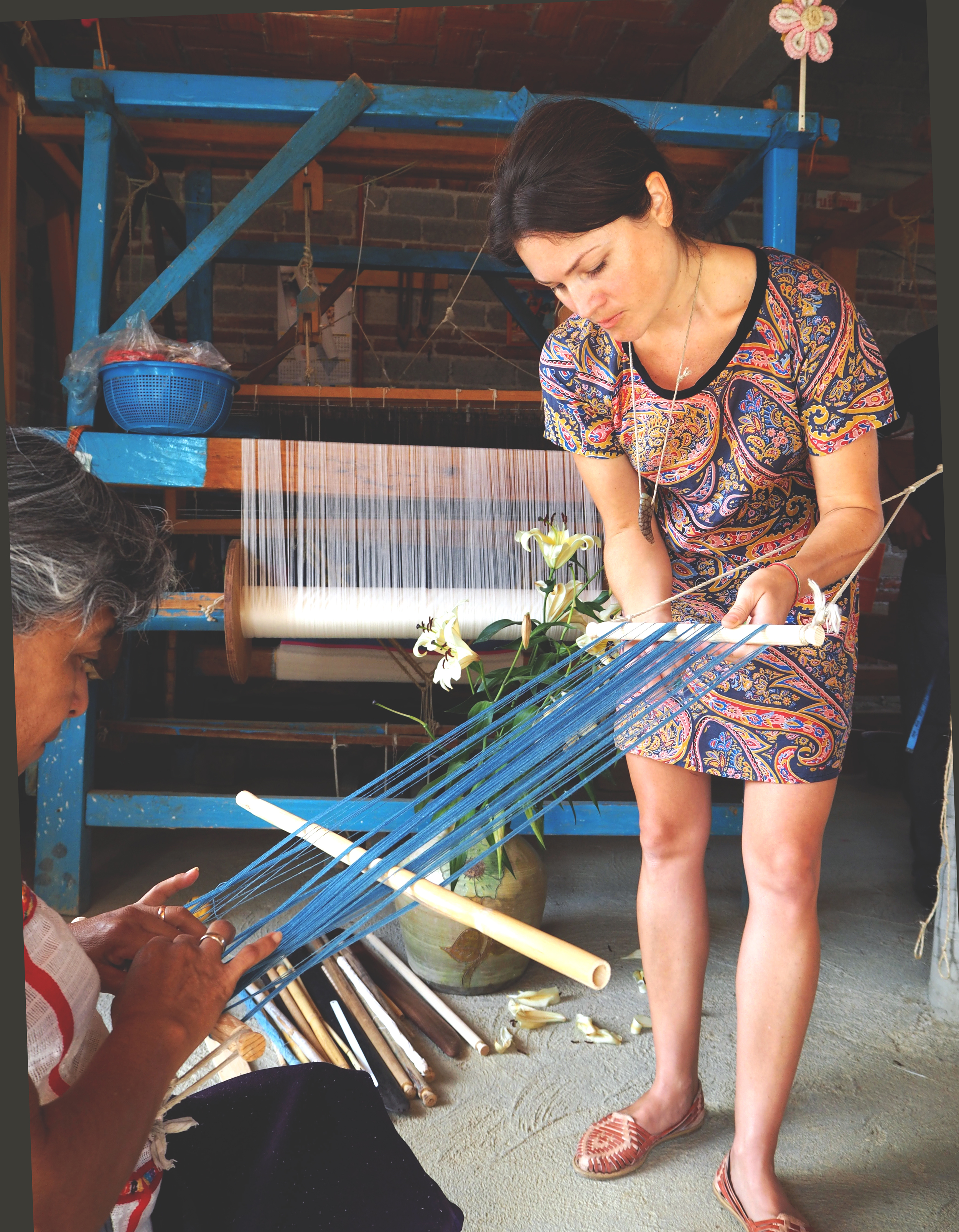 Warping the loom with indigo dyed cotton
