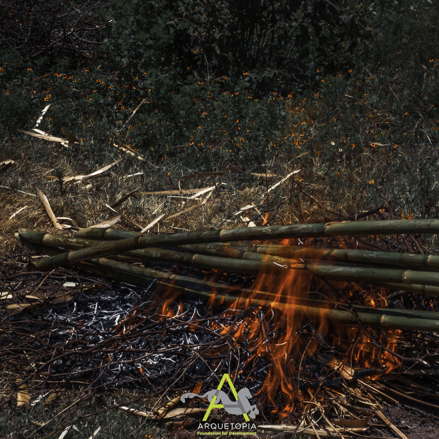 Roasting cane for darker tone