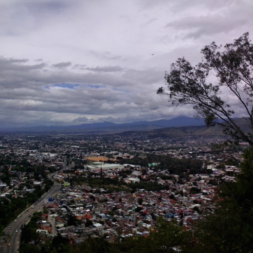Looking down on Oaxaca Town