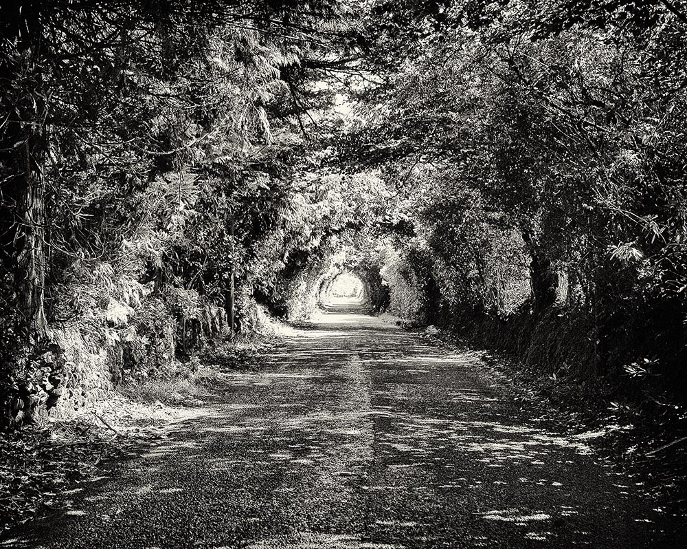 Covered Roadway near Clogheen