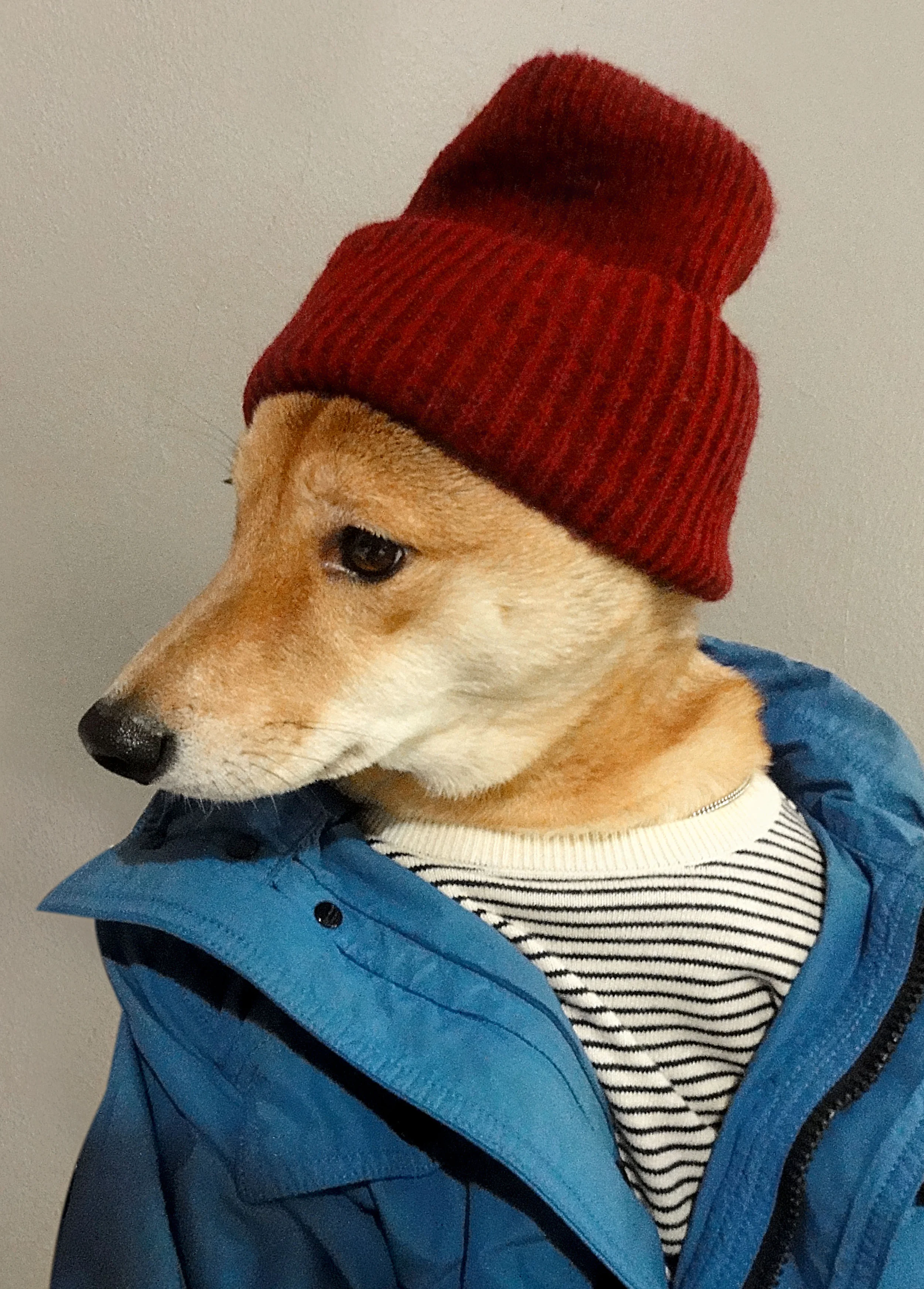 Look20_HQ.jpg
