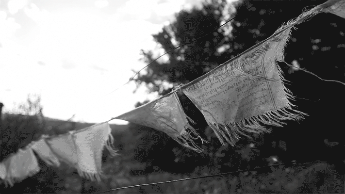 Flags- Adam Ianniello exhibit on The Infinity Pool 