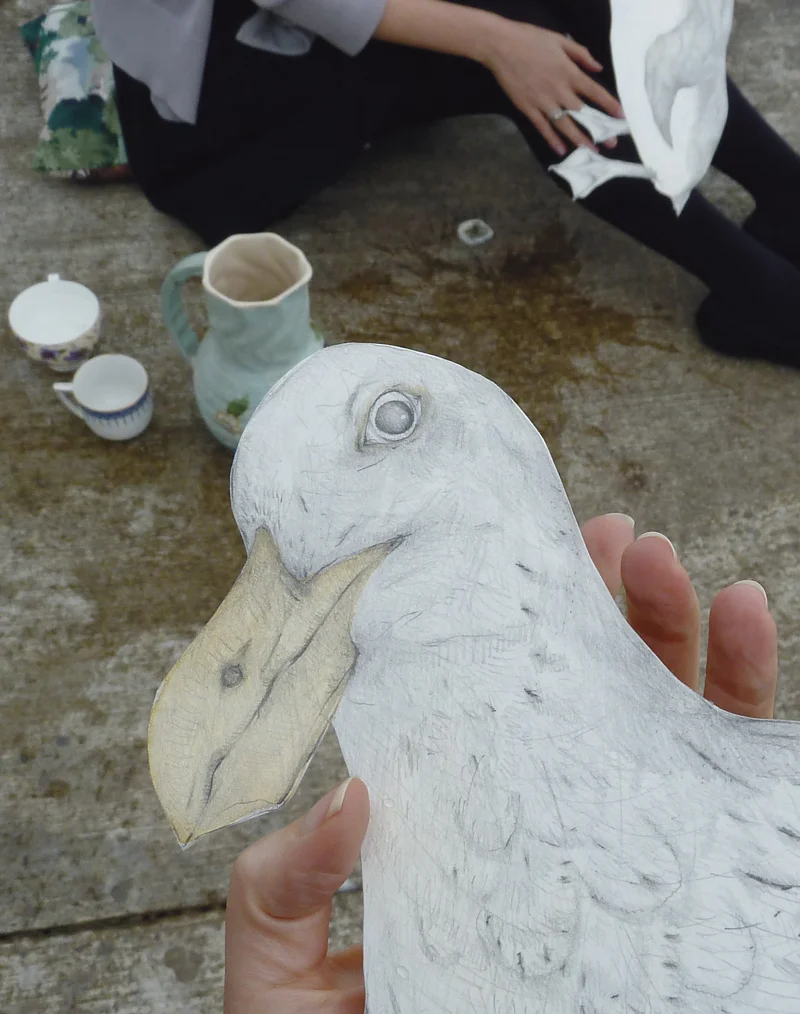 Louise Jennison, Aquarius: The Water Carrier , 2010, photograph of a drawing of a Pacific gull especially for Blanket magazine