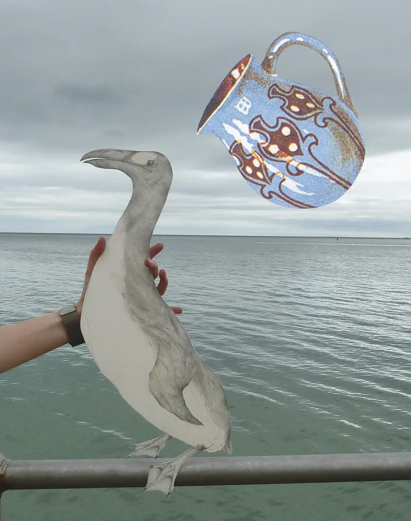 Louise Jennison, Aquarius: The Water Carrier , 2010, photograph of a drawing of a Great auk especially for Blanket magazine