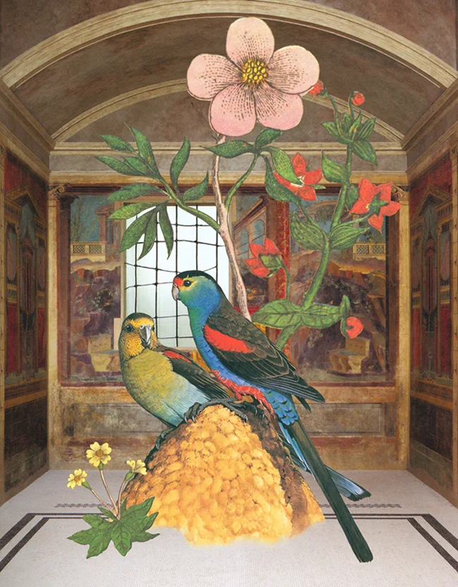 Gracia Haby & Louise Jennison, They had constructed their own garden from what they had , 2010, collage