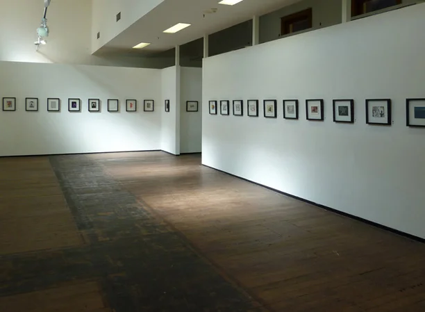 Beautiful Soup: A print folio exhibition curated by Rona Green , 2012, St Heliers Street Store + Gallery